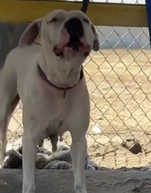 JoeyTuccio tweet media