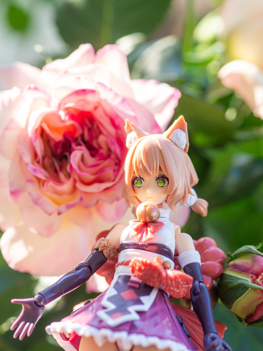 えもちゃん@貴婦人🌹~La Vie en rose~🌹 tweet media