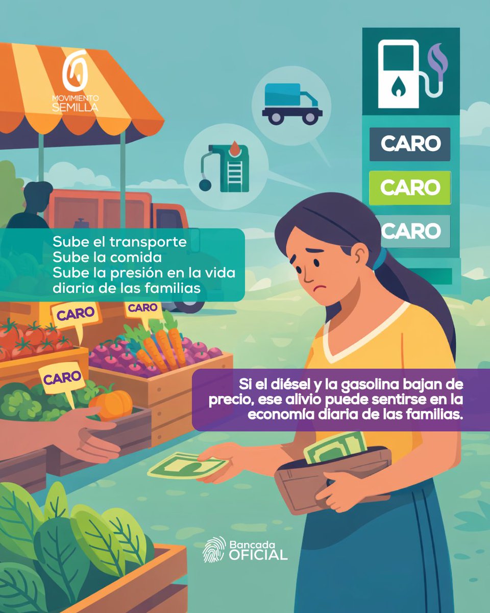 Movimiento Semilla 🌱 🇬🇹 tweet media