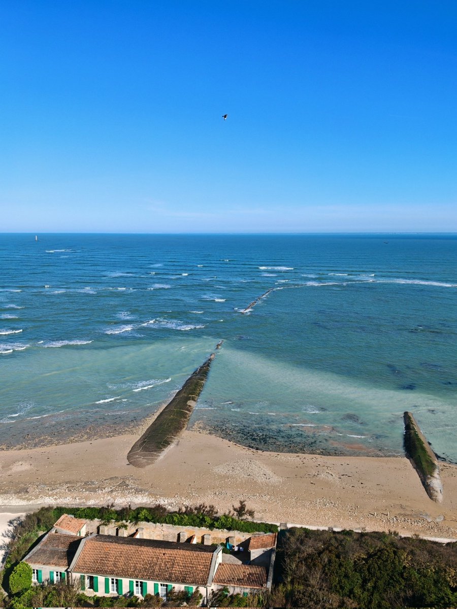 NHoonited's tweet image. #PassionPhare #Ré