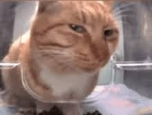 911LITERATURA 🚨📙 Ofertas de Livros tweet media