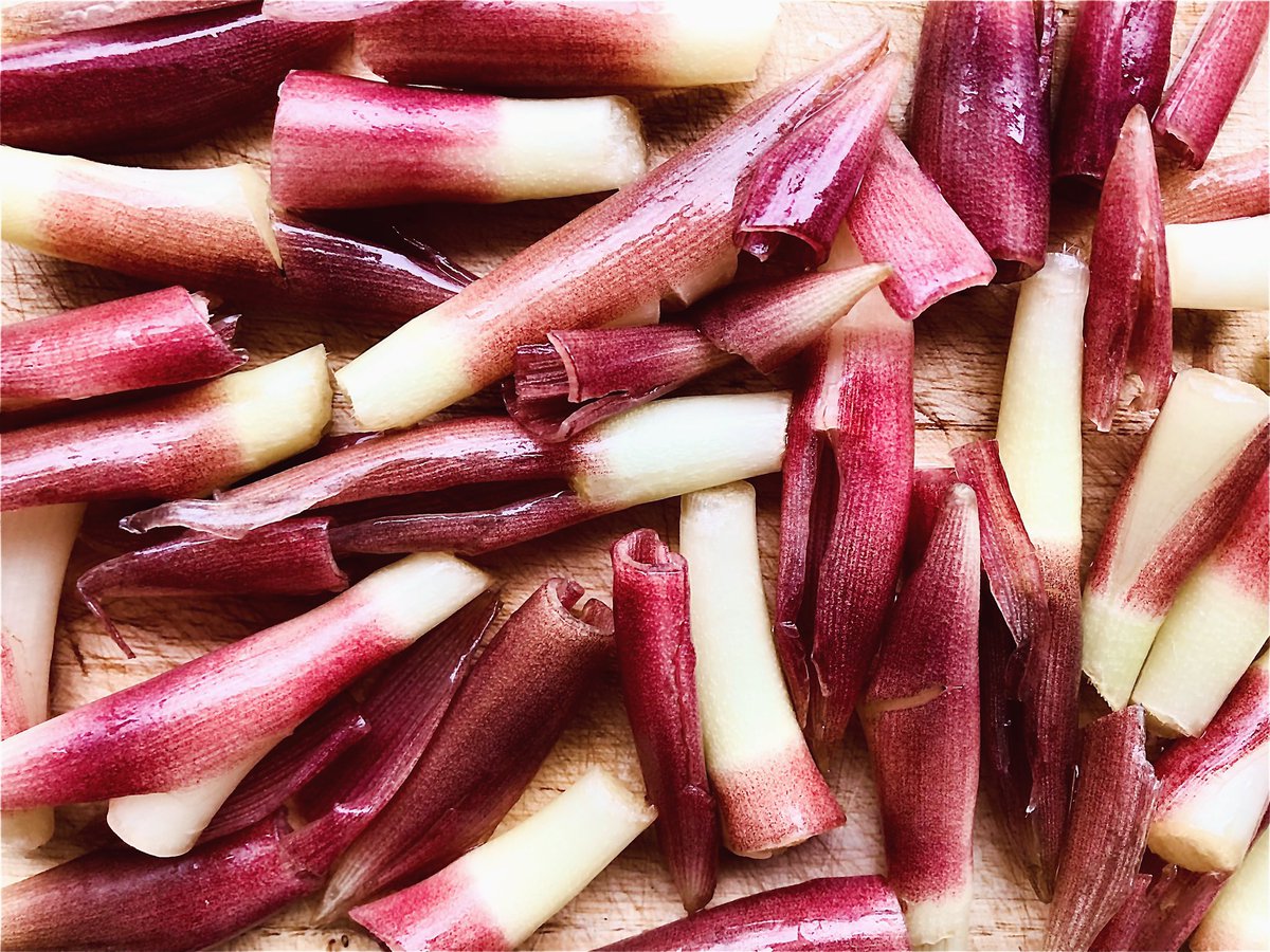 好日画報 tweet media