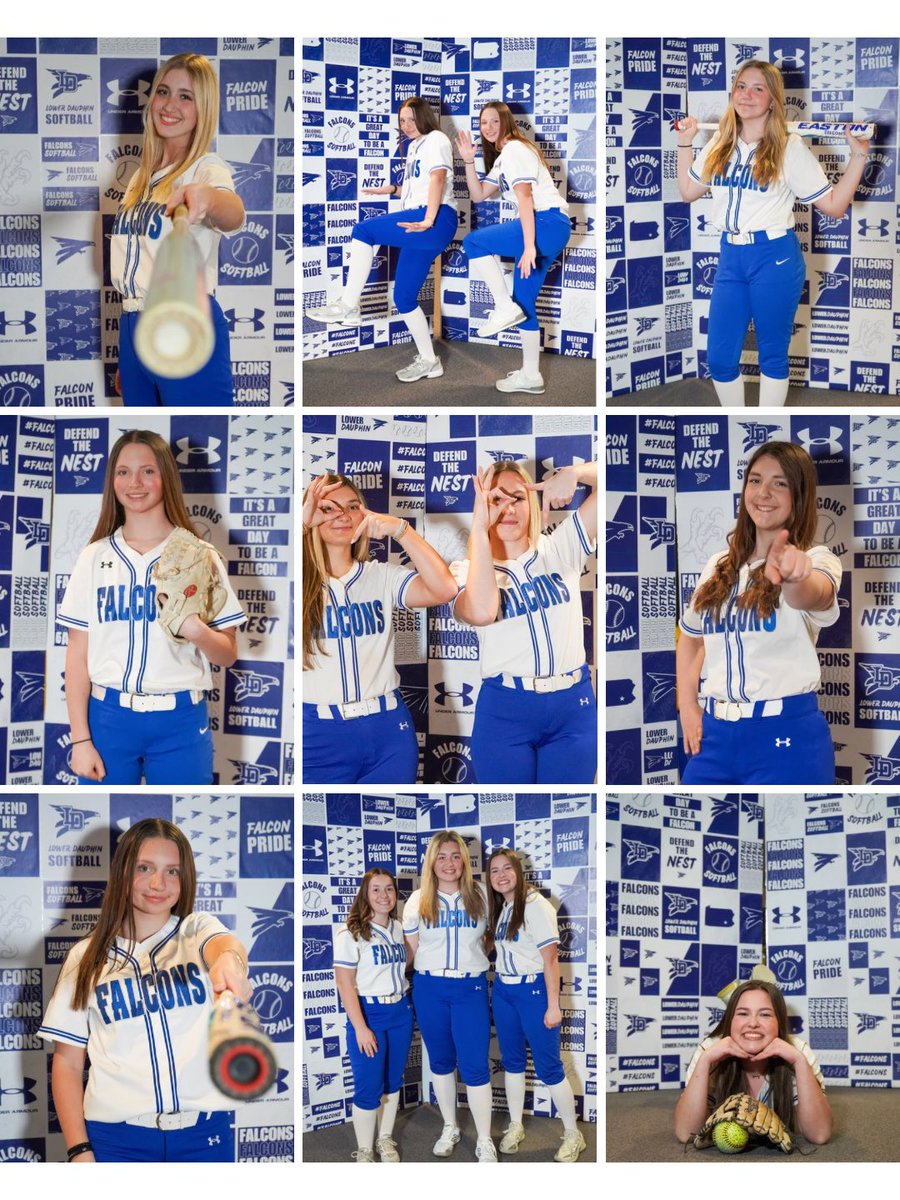 Lower Dauphin Softball tweet media