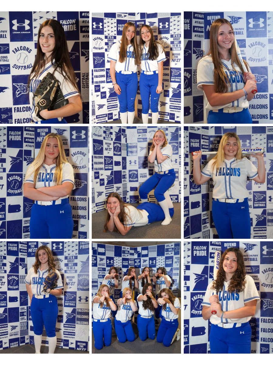 Lower Dauphin Softball tweet media