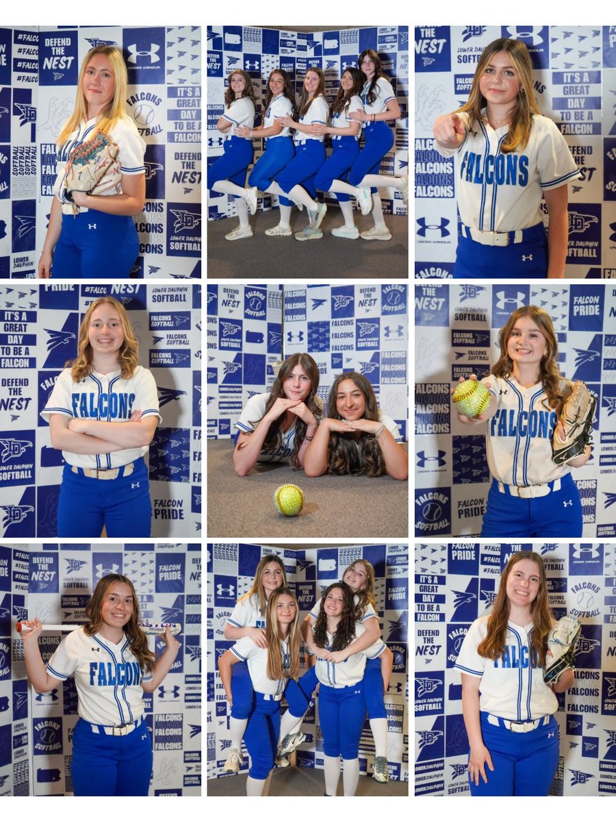 Lower Dauphin Softball tweet media