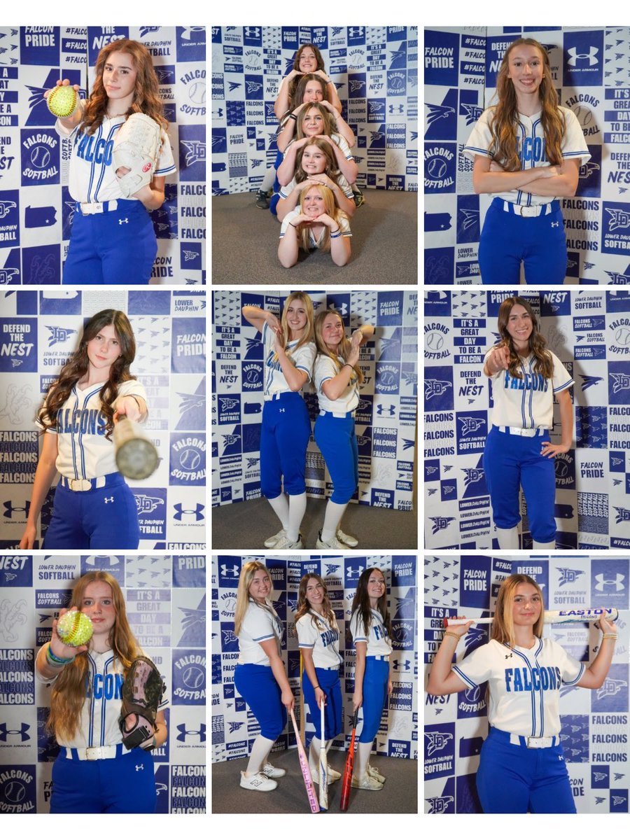 Lower Dauphin Softball tweet media