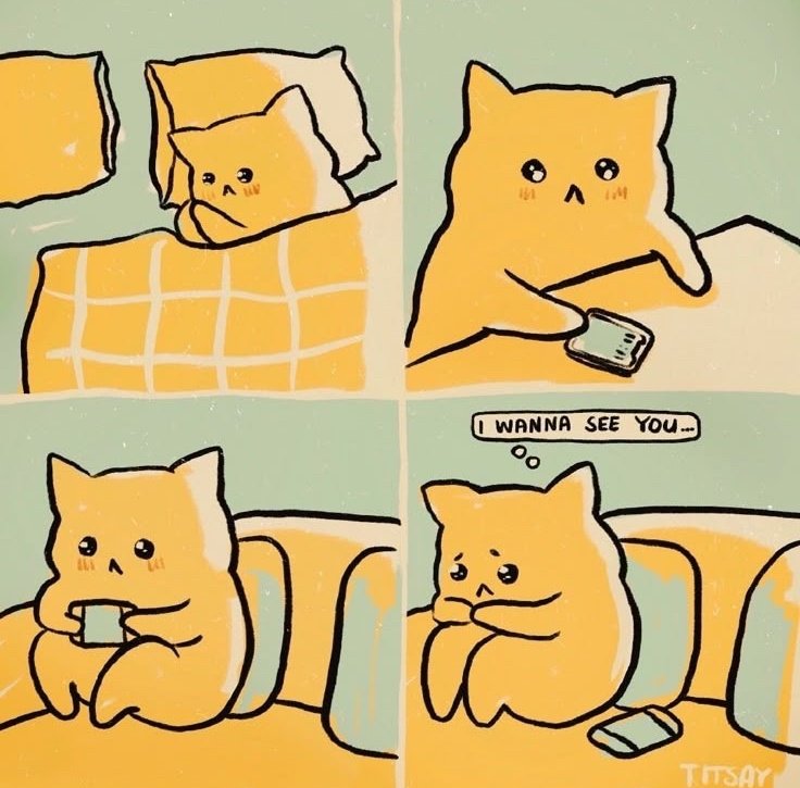 Nova, SuperNova tweet media