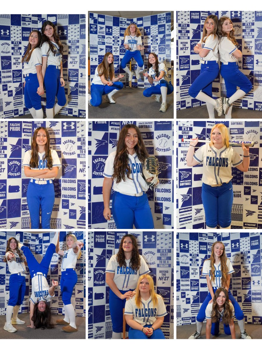 Lower Dauphin Softball tweet media