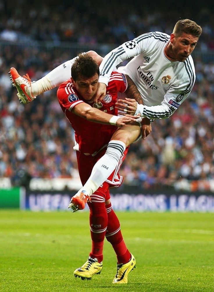 Madrid Zone tweet media