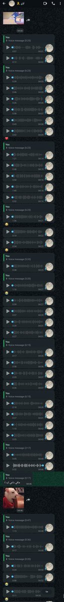 سائح || ☀️𝔊𝔯𝔦𝔰𝔥𝔞 tweet media