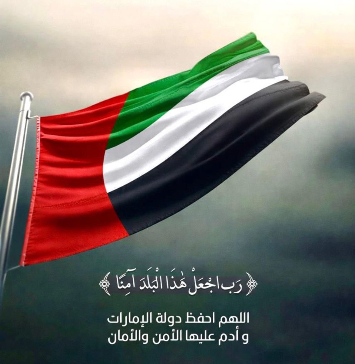 🇦🇪 tweet media