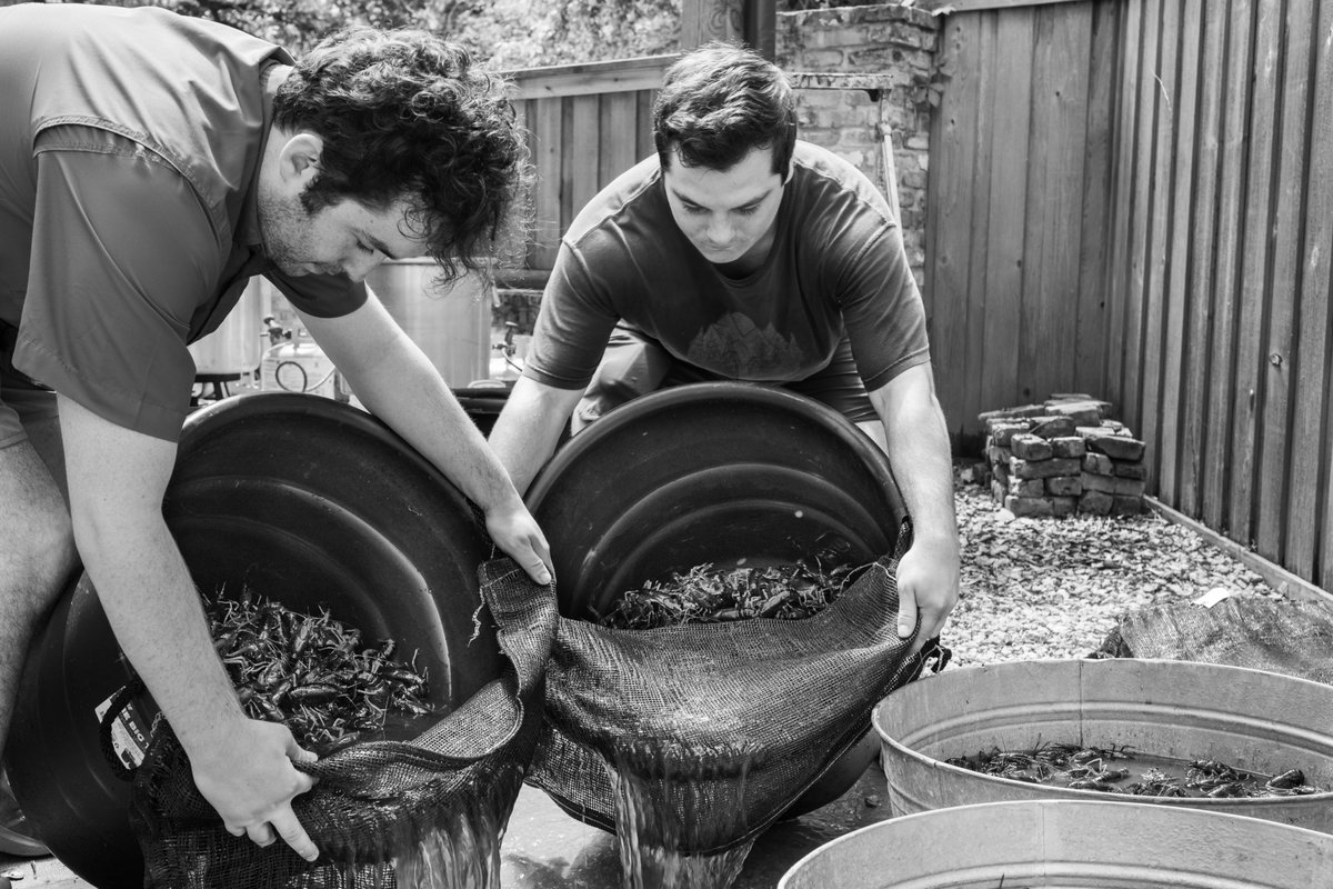 George Lato tweet media
