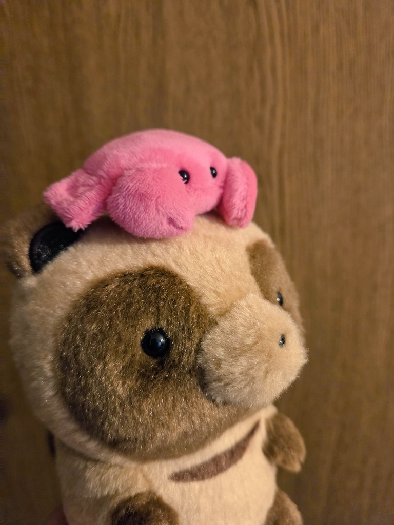 りりー* tweet media