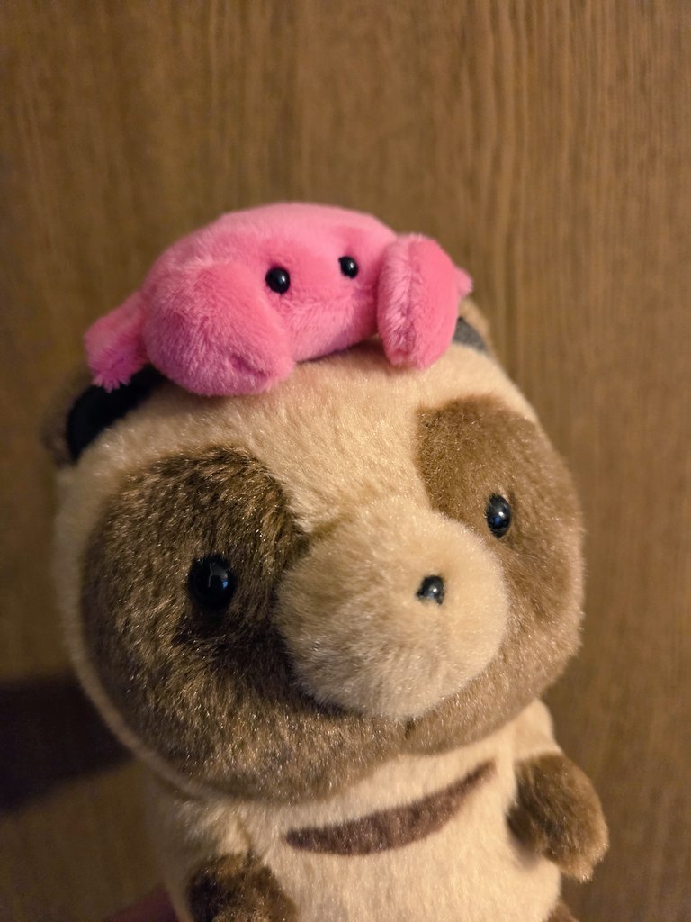 りりー* tweet media