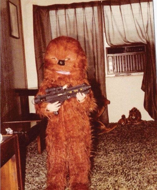 allison harvard burke tweet media