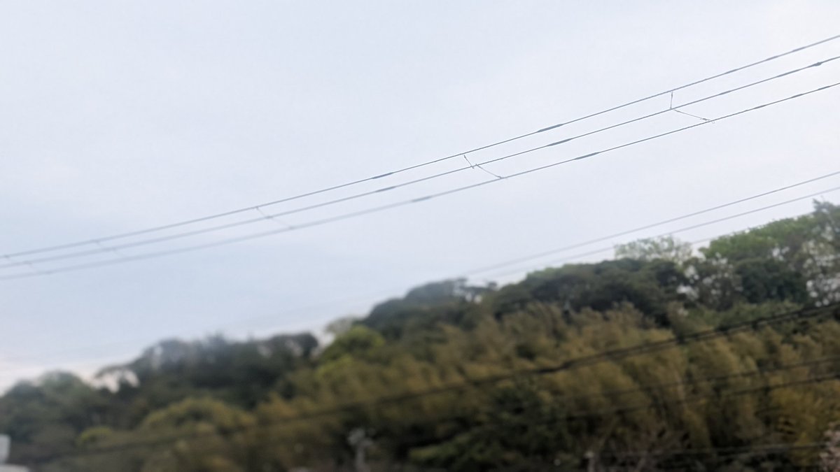 飯テロ部長タッチャンLOVE&Justice tweet media