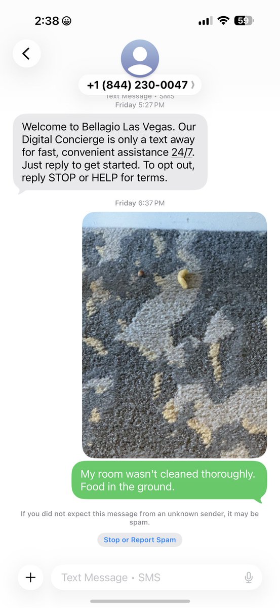 Gradius Musashi tweet media