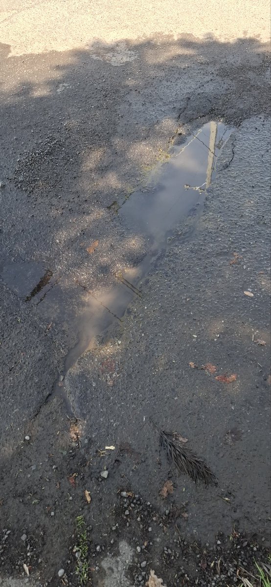 mleylaarthur's tweet photo. @aguas_andinas Hace 1 mes que les informe de este problema,  aun sigue y peor https://t.co/cW7g28f7nz