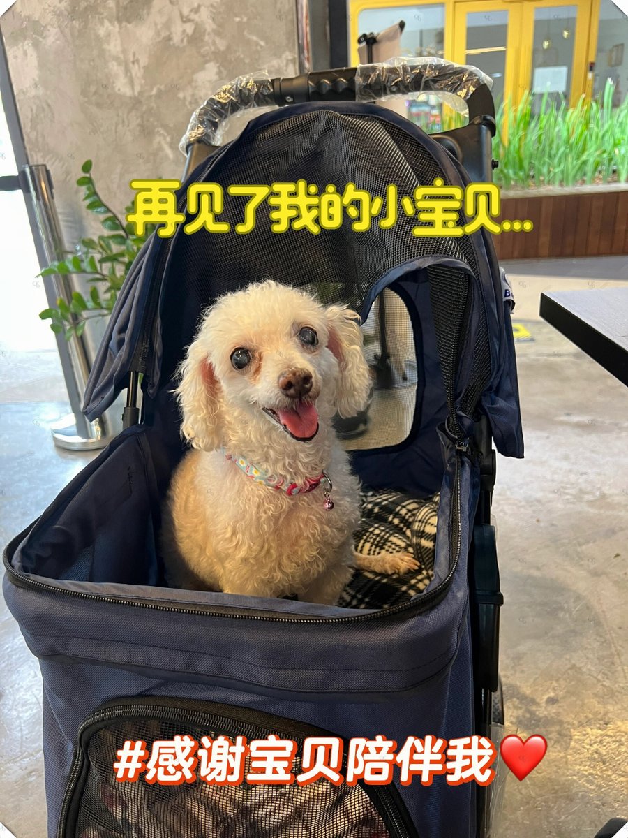 james smits tweet media