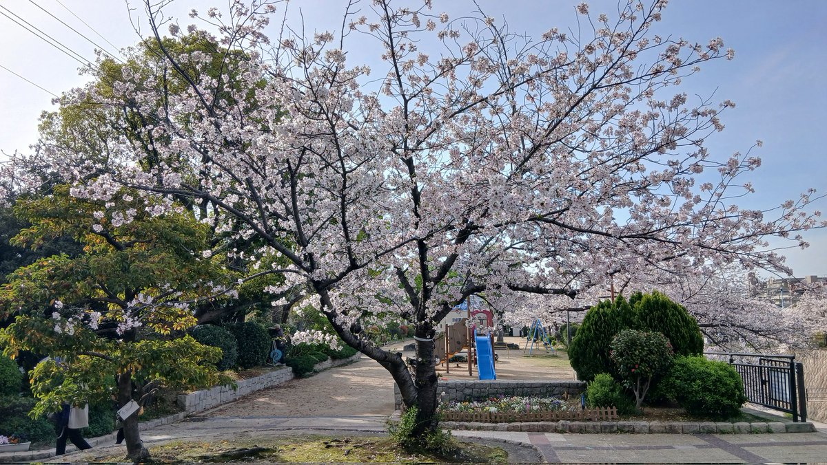 善右衛門 tweet media