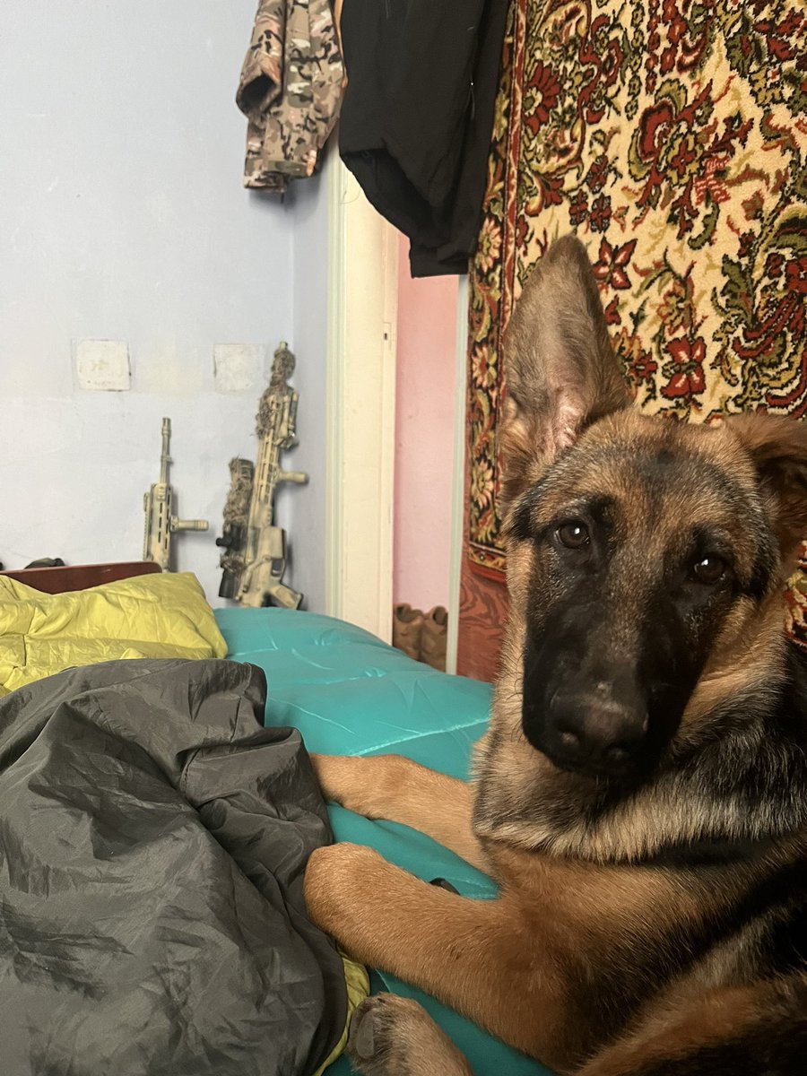 Commandant Storage #NAFO tweet media