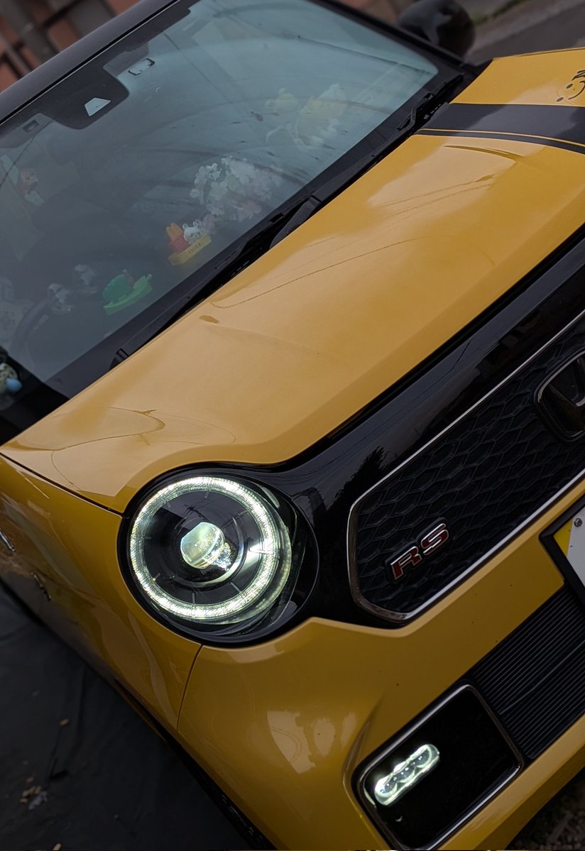 らっぷ🌻＜Wrapping Summer🎇＞/n-one rs tweet media