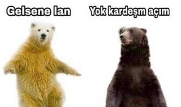 Fatih Önen 🇹🇷 tweet media