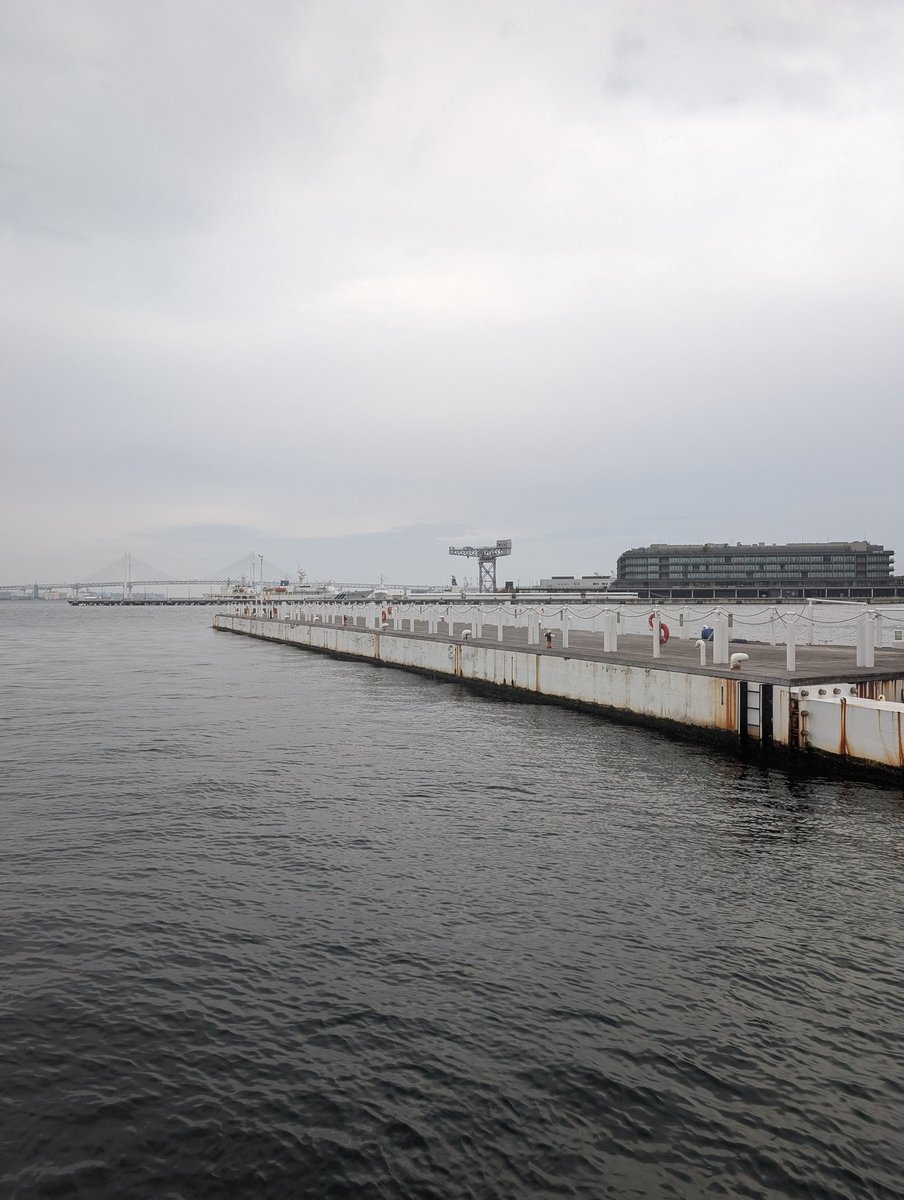 yaokenj's tweet photo. 少し風があり曇っています 大岡川に散った桜の花弁が横浜港の河口から海に流れ出ていきます 大さん橋にはPacific Worldがいます
#ハンマーヘッド #横浜 #朝の散歩 #朝の景色 #大岡川 #桜の花弁 #花筏 #横浜港 #河口���#大さん橋 #PacificWorld #パシフィックワールド #イマソラ #今空 https://t.co/OLR2vPDBTn