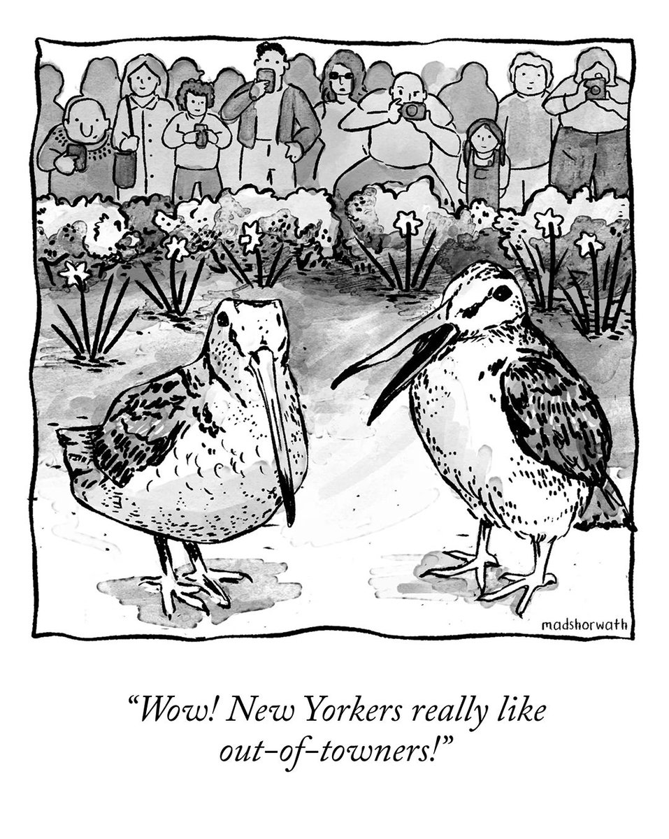 The New Yorker tweet media