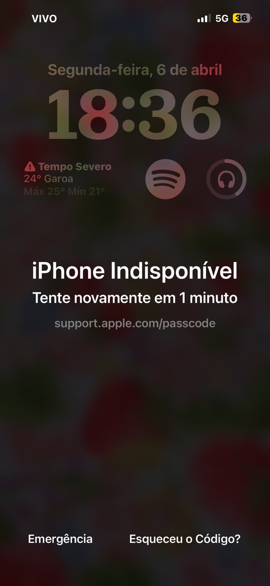 lulu flins and columbina haver tweet media