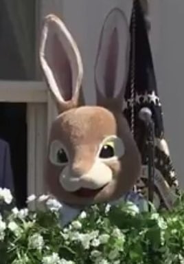 Tommy Callahan tweet media