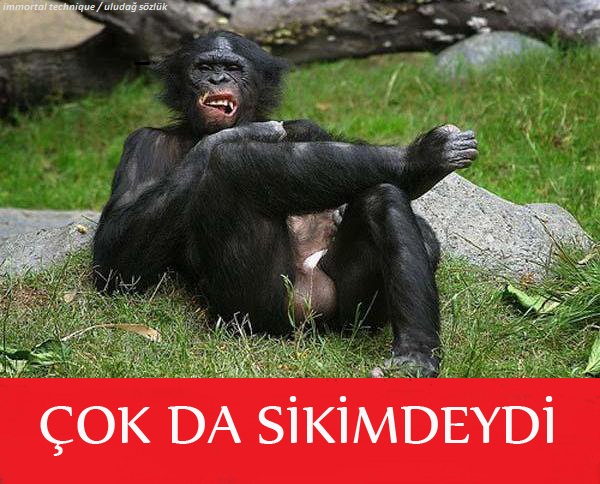 BARIŞ K. tweet media