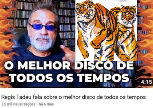 Acervo Ana Frango Elétrico tweet media