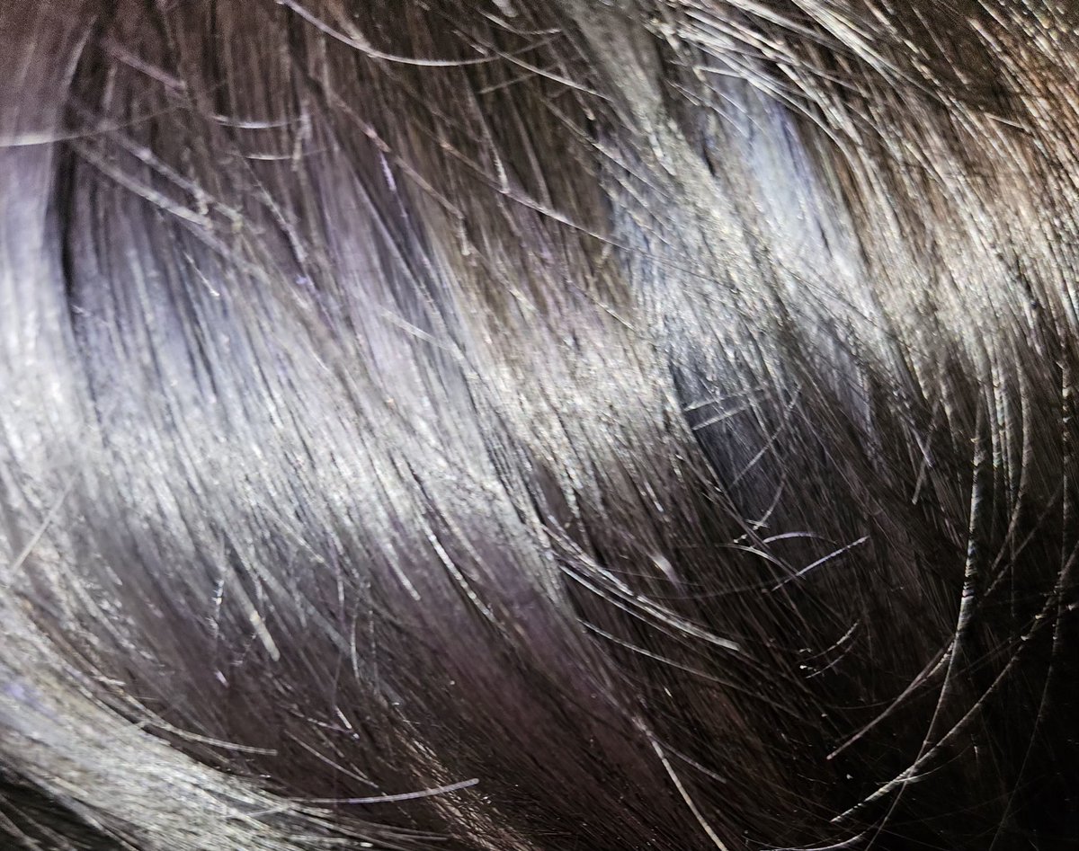 ◀◌✮𝚃𝚢𝚕𝚎𝚛 |-/✮◌▶ tweet media