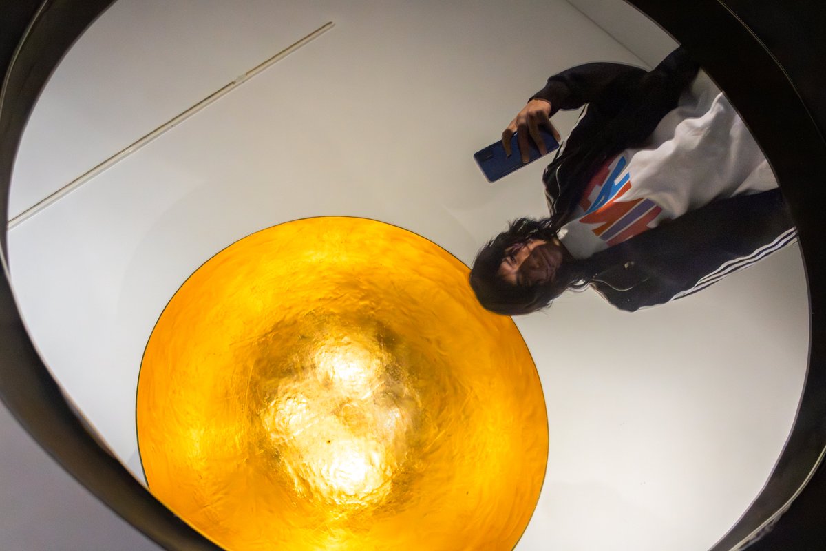 Museo de Arte Carrillo Gil tweet media