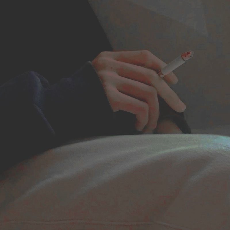 𝓗𝐀𝐑𝐋𝐄𝐘 ( 𝓱iatus ) tweet media