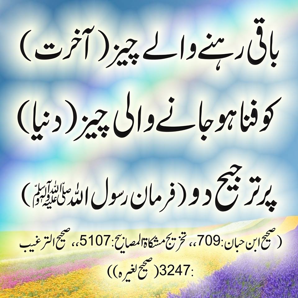 Aamir Shaikh 💙®️ tweet media