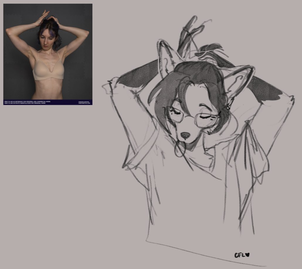 crazyfoxlady☕️🦊🌸 tweet media