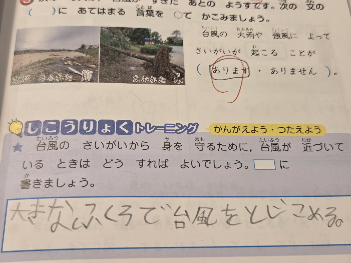 シノワ🇳🇱🇮🇹🇯🇵 tweet media