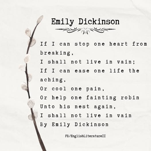 Marti Lawrence tweet media