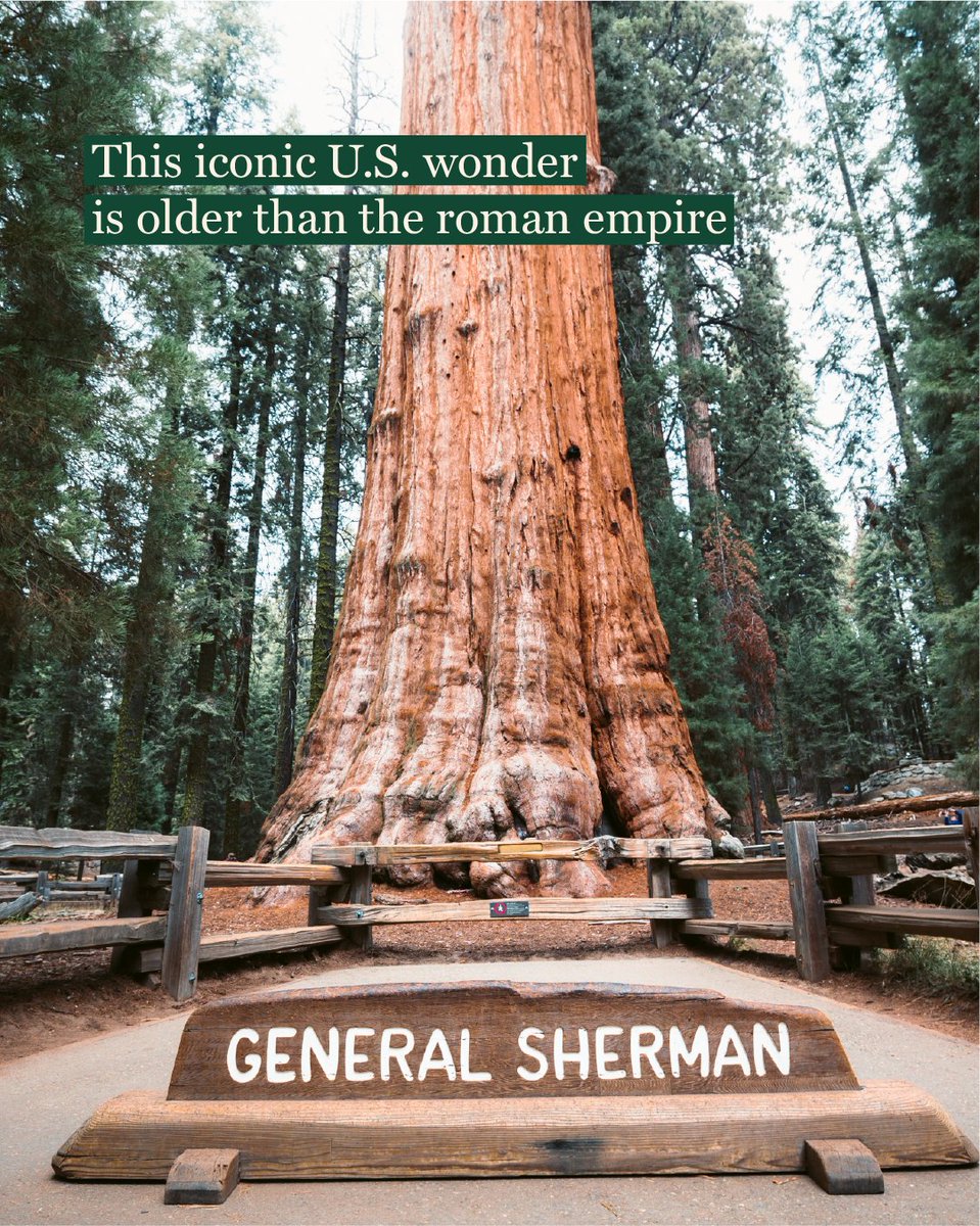 Arbor Day Foundation tweet media