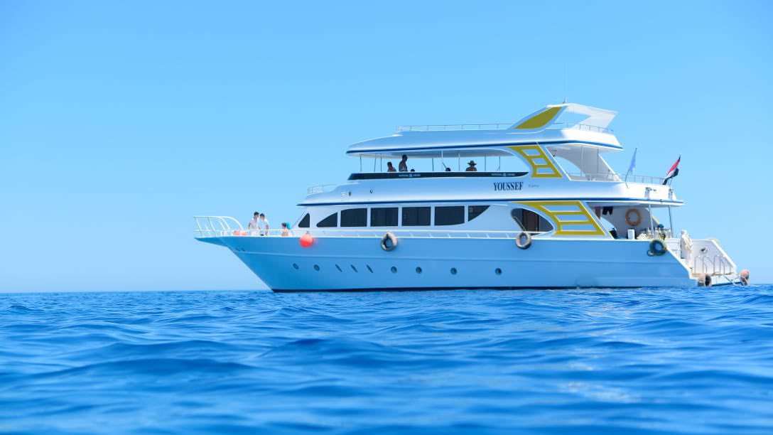 Osama 🇸🇦 tweet media