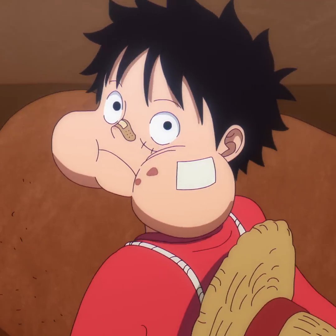 straw hat fuly tweet media