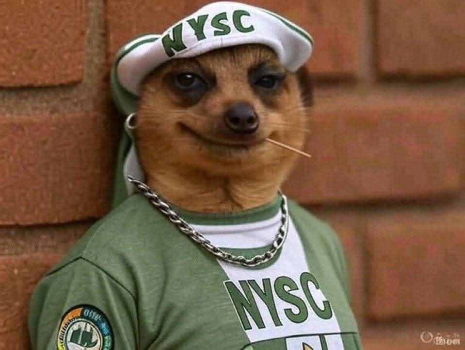 Mahi.Dare tweet media