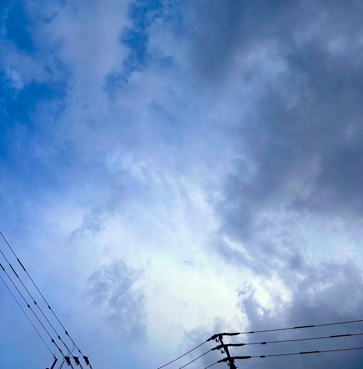 めひょ🤡🦎 tweet media