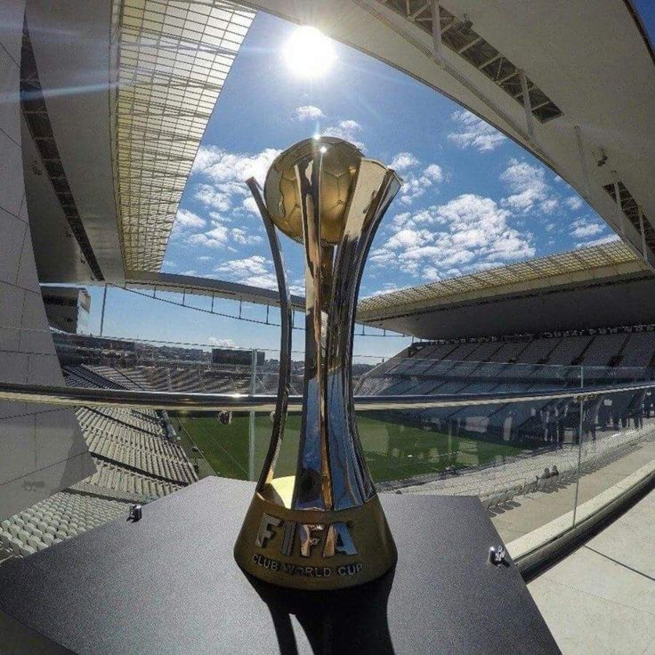 LKoliveira tweet media