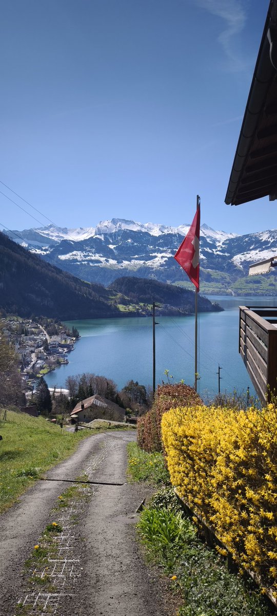 💙ColdTheFox 💙 🔜@Megaplex tweet media