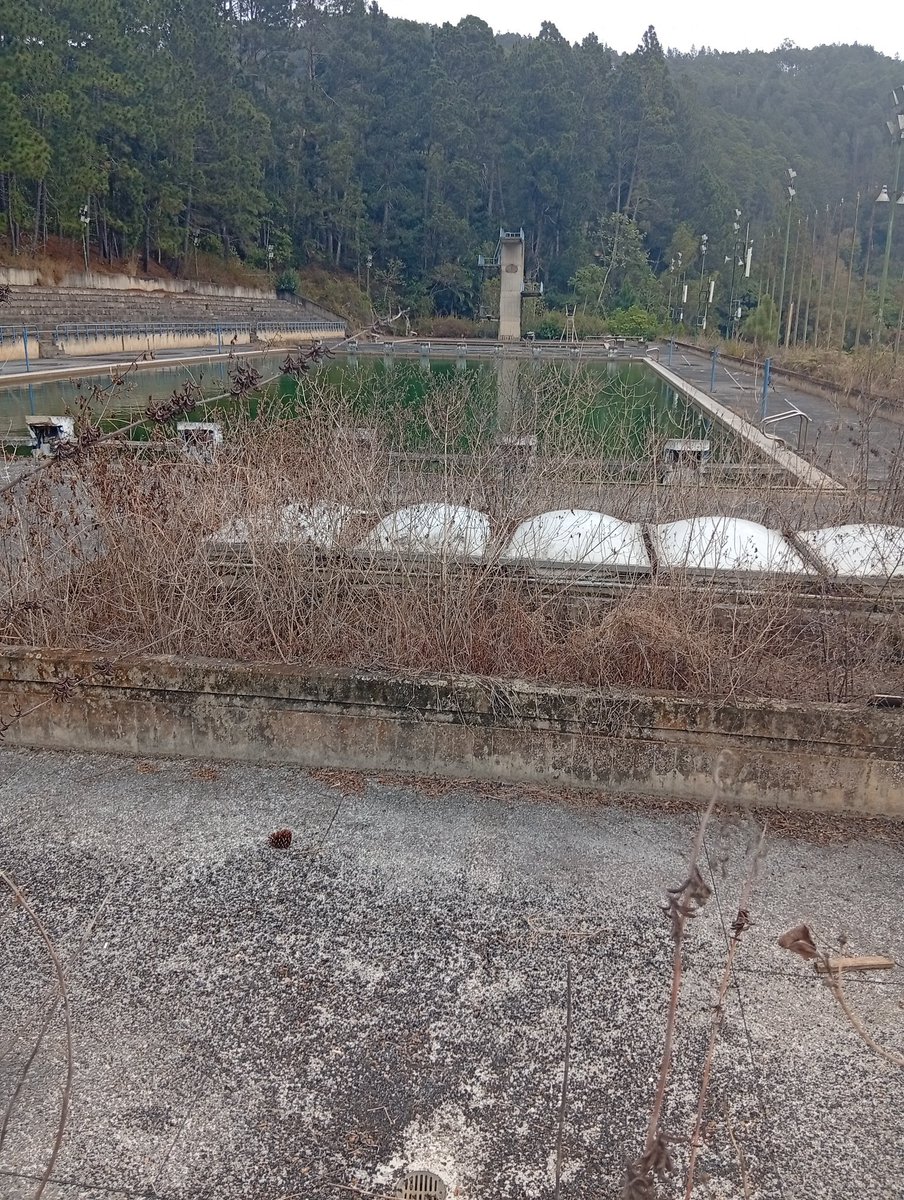 El Diario tweet media