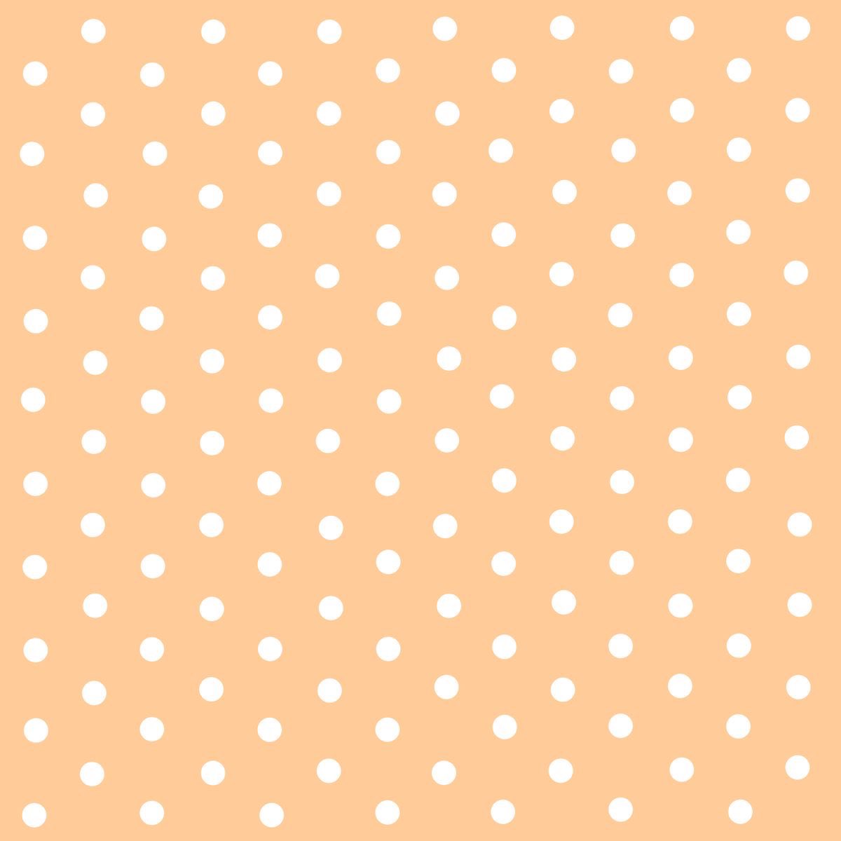 kanya 🐱 MIDO BELIEVER tweet media