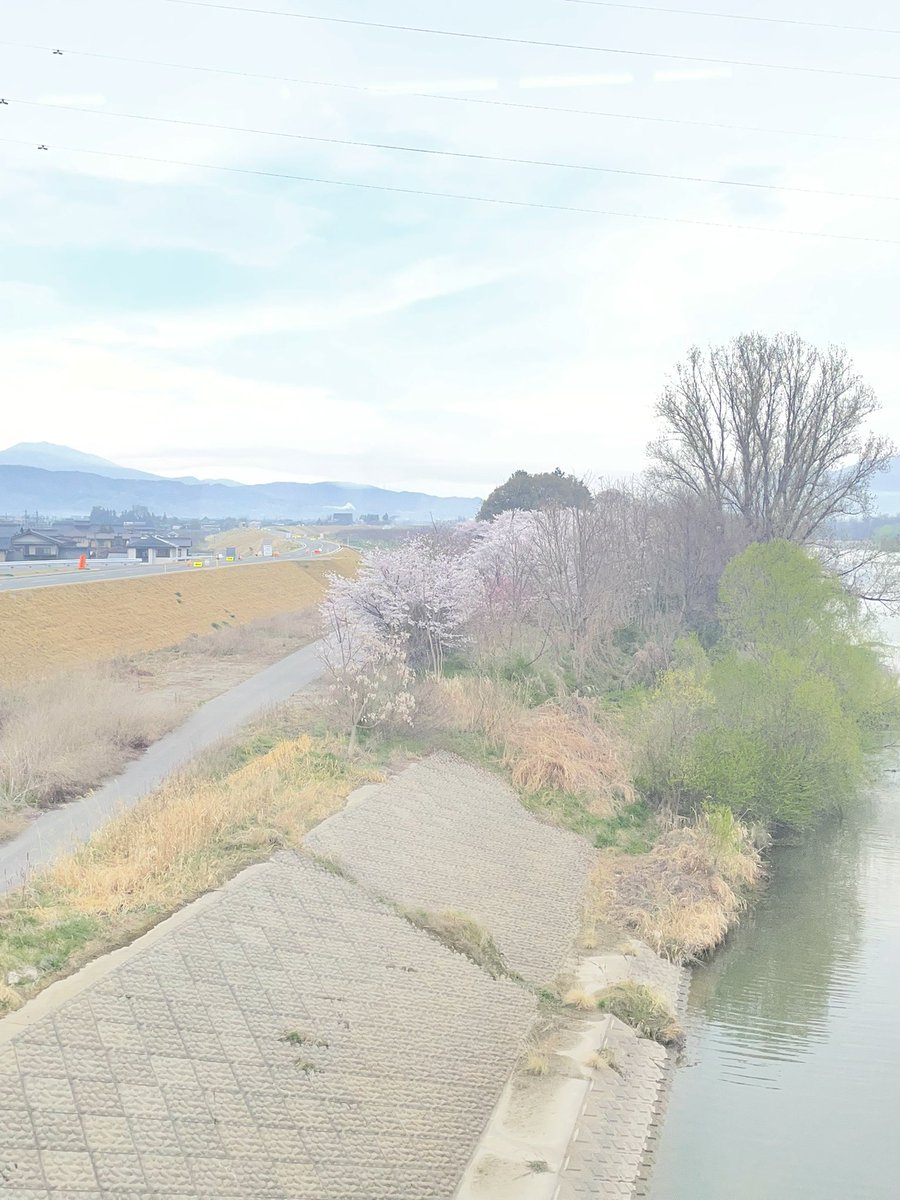 ペルシア tweet media